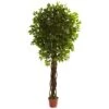 7.5 Foot Outdoor Artificial Ficus Tree: Limited UV 2 7.5 Foot Outdoor Artificial Ficus Tree: Limited UV -Artificial Trees Shop NEA2550 ZM 1