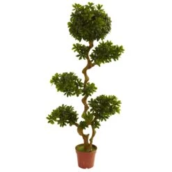 5 Foot Outdoor Artificial Pittosporum: Limited UV
