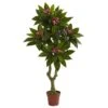 5 Foot Outdoor Artificial Plumeria Tree: Limited UV 1 5 Foot Outdoor Artificial Plumeria Tree: Limited UV -Artificial Trees Shop NEA2565 ZM 1