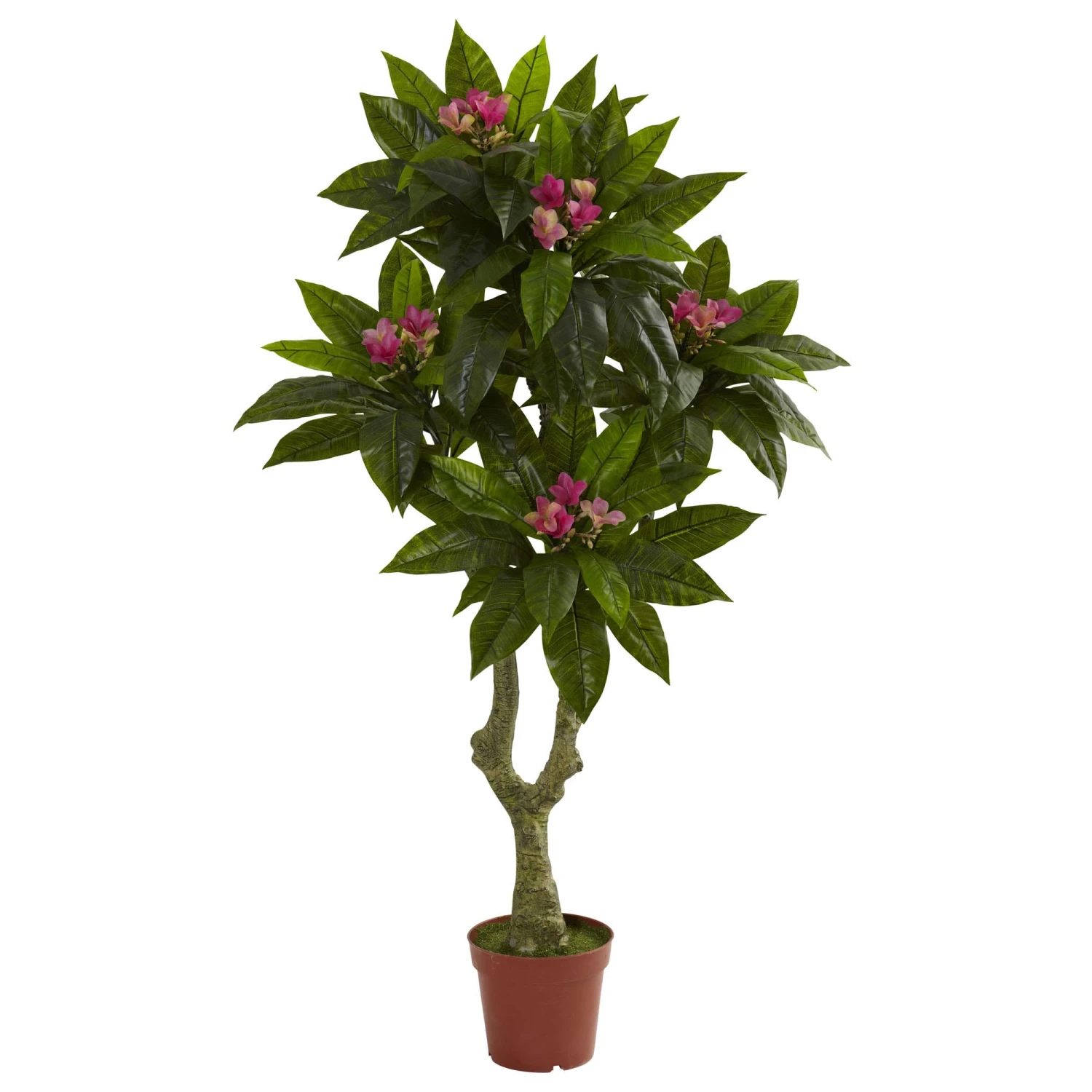 5 Foot Outdoor Artificial Plumeria Tree: Limited UV 3 5 Foot Outdoor Artificial Plumeria Tree: Limited UV