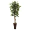 6.5 Foot Artificial Ficus In Decorative Planter 2 6.5 Foot Artificial Ficus In Decorative Planter -Artificial Trees Shop NEA2604 ZM 1