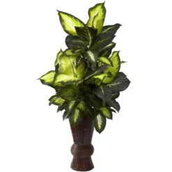 50 Inch Silk Golden Dieffenbachia In Bamboo Planter