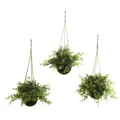 12 Inch Silk Eucalyptus, Maiden Hair & Berry Hanging Basket(Set Of 3)
