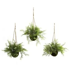 15 Inch Silk Ruscus, Sedum & Springeri Hanging Basket (Set Of 3)