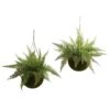 18 Inch Outdoor Leather Fern In Mossy Hanging Basket (Set Of 2) Limited UV Protection -Artificial Trees Shop NEA2637 ZM 1