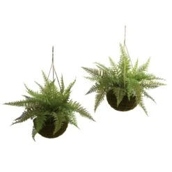 18 Inch Outdoor Leather Fern In Mossy Hanging Basket (Set Of 2) Limited UV Protection