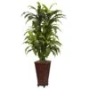57 Inch Artificial Marginatum In Decorative Planter -Artificial Trees Shop NEA2641 ZM 1