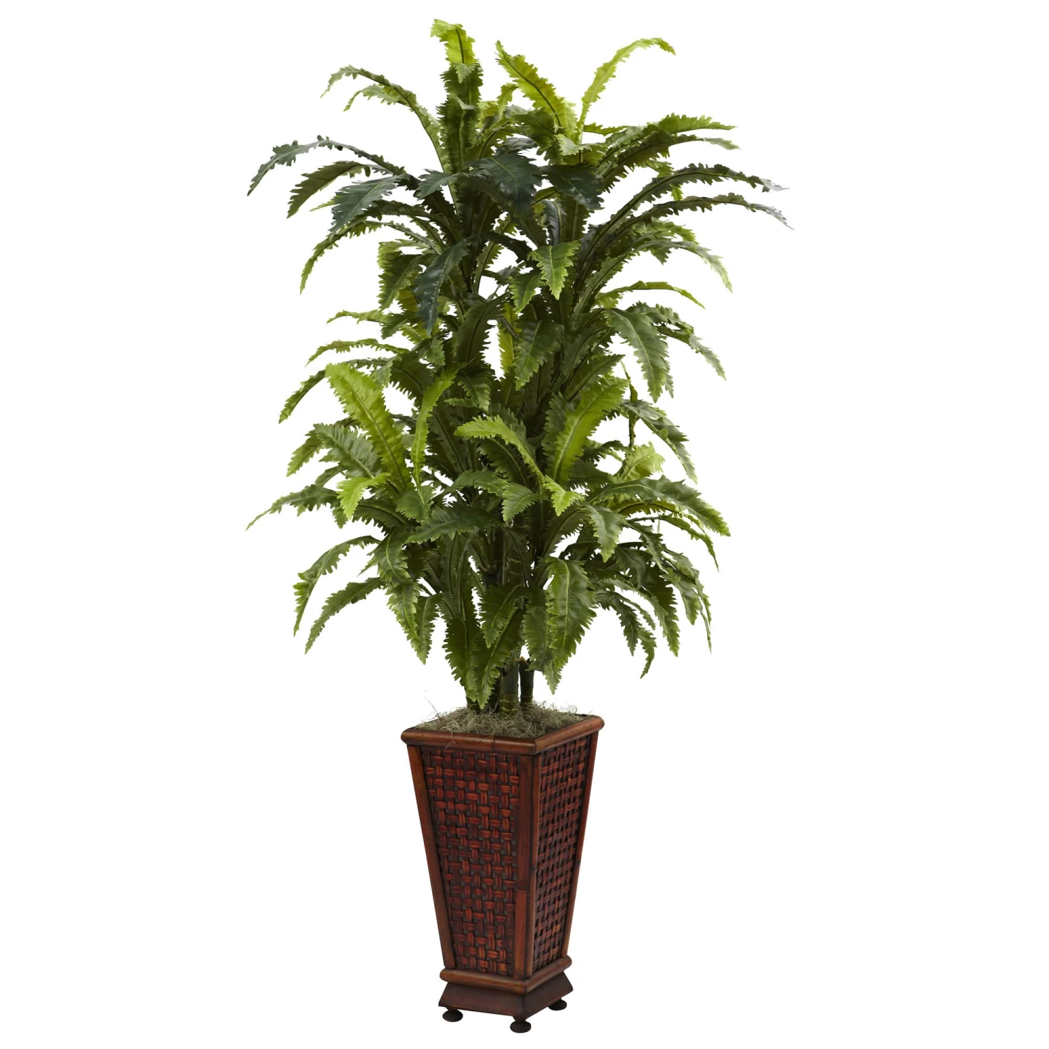 57 Inch Artificial Marginatum In Decorative Planter 3 57 Inch Artificial Marginatum In Decorative Planter