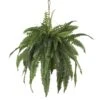 32 Inch Wide Artificial Large Boston Fern Hanging Basket 1 32 Inch Wide Artificial Large Boston Fern Hanging Basket -Artificial Trees Shop NEA2651 ZM 1