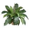 34 Inch Wide Silk Large Birds Nest Fern Hanging Basket -Artificial Trees Shop NEA2652 ZM 1