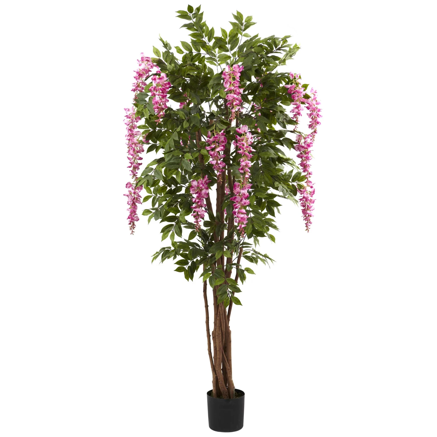 6.5 Foot Silk Wisteria Tree 3 6.5 Foot Silk Wisteria Tree