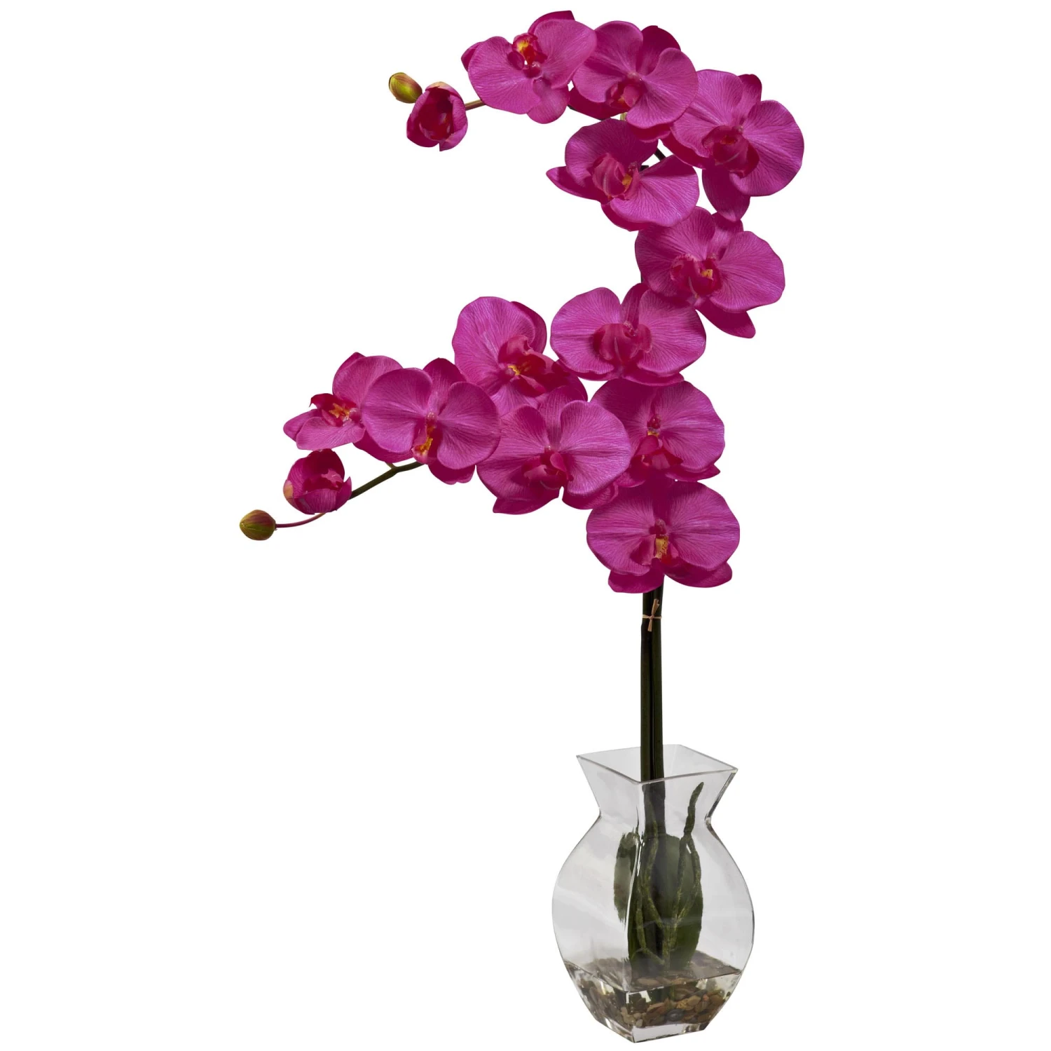 24 Inch Phalaenopsis Orchid Arrangement In Vase 3 24 Inch Phalaenopsis Orchid Arrangement In Vase