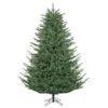 9 Foot Del Mar Fraser Fir Christmas Tree: Clear Lights -Artificial Trees Shop SNT DEL MAR FRASER FIR