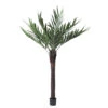 6 Foot Kentia Palm With Natural Trunk: Limited UV -Artificial Trees Shop T160572 1000