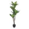 5 Foot Real Touch Dracaena: Potted