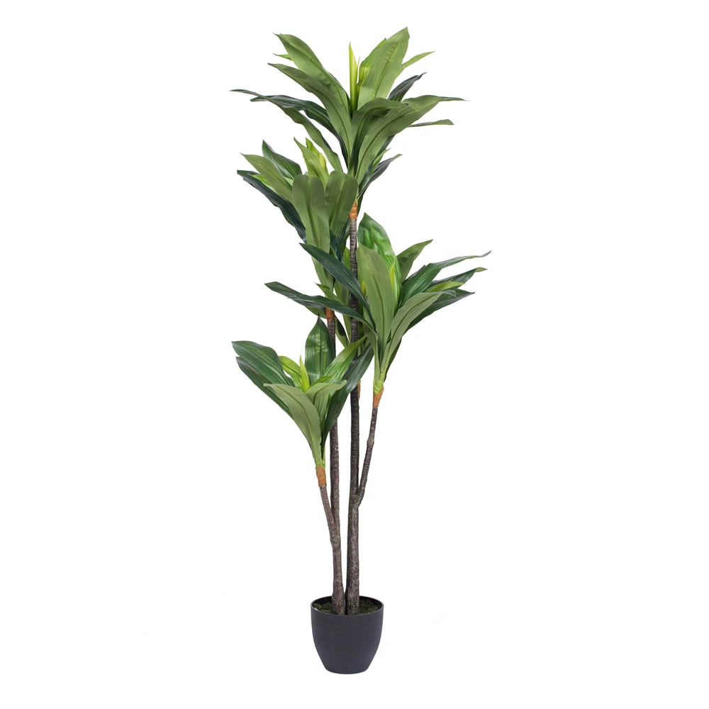 5 Foot Real Touch Dracaena: Potted 3 5 Foot Real Touch Dracaena: Potted