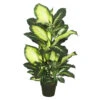 40 Inch Tutoned Green Dieffenbachia: Potted -Artificial Trees Shop TA170201 1000