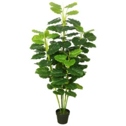 64 Inch Fresh Philodendron: Potted