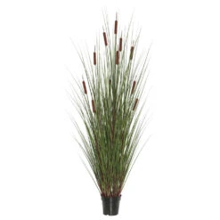 4 Foot Grass With 8 Cattails: Potted
