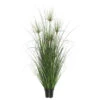 2 Foot Brushed Grass: Potted
