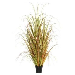 2 Foot Mixed Brown Grass: Potted