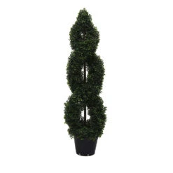 4 Foot UV Protected Boxwood Double Spiral Topiary: Potted