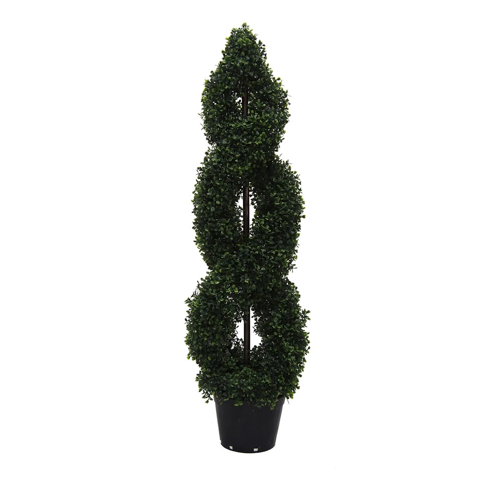 4 Foot UV Protected Boxwood Double Spiral Topiary: Potted 3 4 Foot UV Protected Boxwood Double Spiral Topiary: Potted
