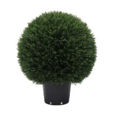 2 Foot UV Protected Cedar Ball Topiary: Potted