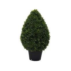 2 Foot UV Protected Boxwood Cone Topiary: Potted
