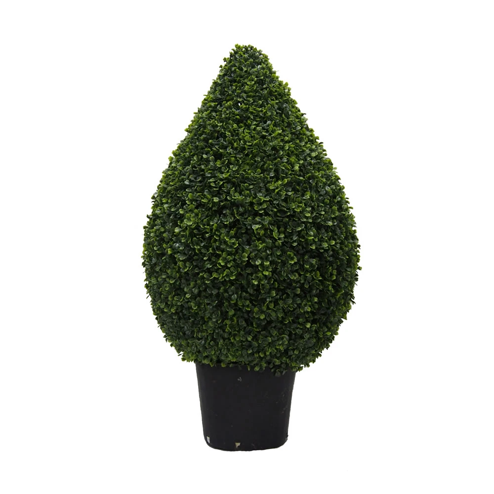 3 Foot UV Protected Boxwood Cone Topiary: Potted 3 3 Foot UV Protected Boxwood Cone Topiary: Potted