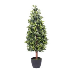 4 Foot Bay Cone Topiary: Potted
